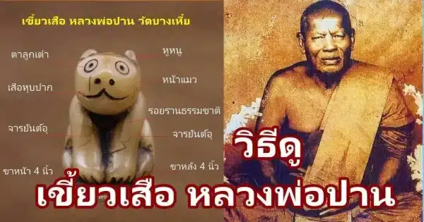 หลักวิธีดู เขี้ยวเสือ หลวงพ่อปาน วัดบางเหี้ย